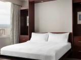 1 Bedroom Executive Single Suite