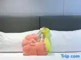2 Bedrooms Family Suite