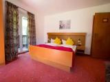 Classic Double room with balcony and with garden view