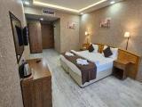 Deluxe Double room with garden view