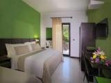 Standard Double room with balcony and with garden view