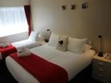 1 Bedroom Standard Unit