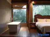 Standard Double room with view