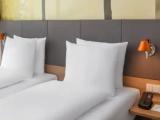 Executive Double Suite