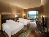 Deluxe Double room with balcony and with view