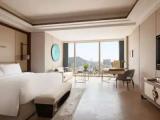 Deluxe Double room with ocean view