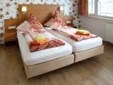 Deluxe Double room with balcony and with river view