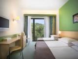 Standard Triple room with park view