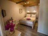 Standard room with garden view