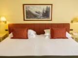 Deluxe room with mountain view