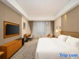 Superior Twin room with city view