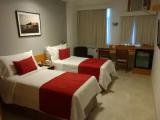 Superior Double room with street view