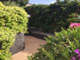 Apartment with garden view