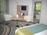 Superior Double room with garden view