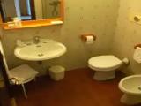 Suite with garden view