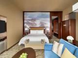 Premier Double room