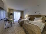 Standard Double room with garden view