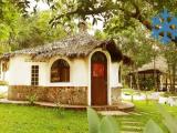 Classic Bungalow