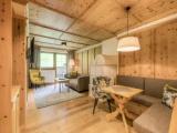 1 Bedroom Suite with balcony and with mountain view