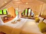 Standard room with garden view