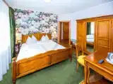Standard Double room with garden view
