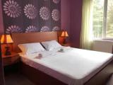 1 Bedroom Classic Double room with mountain view