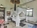 Grand Suite
