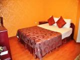 Standard Double room with garden view