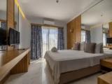 Standard Double room with balcony and with pool view