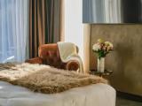 Deluxe Double room with mountain view