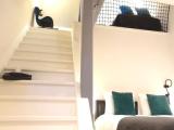 2 Bedrooms Deluxe Double room