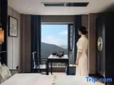 Standard Double Attic room with park view