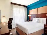 1 Bedroom Executive Suite
