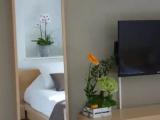 Economy Studio