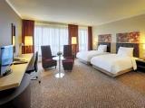 Deluxe Rhine Wing Double room with city view