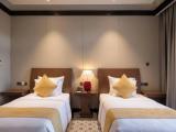 Premium Twin room with balcony and with city view