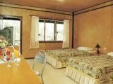 Standard room with river view