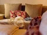 Economy Single room with balcony and with mountain view