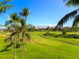 Standard Quadruple room with golf view