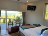 Villa with garden view