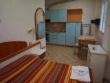 1 Bedroom Basement Apartment