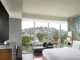 1 Bedroom Junior Suite
