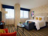 1 Bedroom Executive Suite