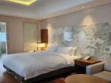Double Junior Suite
