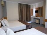 Classic Triple room with balcony and with garden view