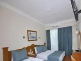 Standard Double room with garden view
