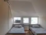 Standard Attic room