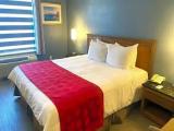 Double Junior Suite