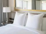 Executive Double Suite with city view