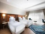 Deluxe Double room with city view